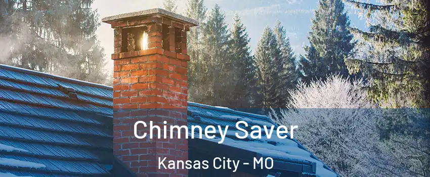  Chimney Saver Kansas City - MO