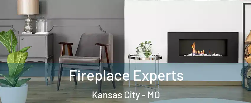  Fireplace Experts Kansas City - MO