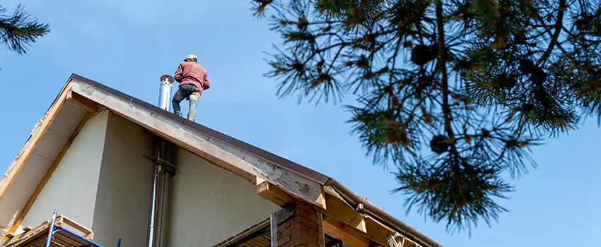 Birds Removal Contractors from Chimney in Kansas City, MO