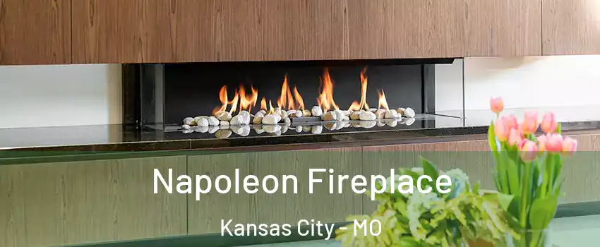  Napoleon Fireplace Kansas City - MO